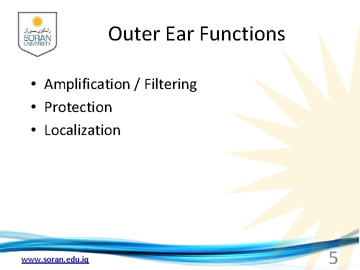 Outer Ear Functions • Amplification / Filtering • Protection • Localization www. soran. edu.