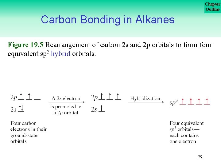 Chapter Outline Carbon Bonding in Alkanes Figure 19. 5 Rearrangement of carbon 2 s
