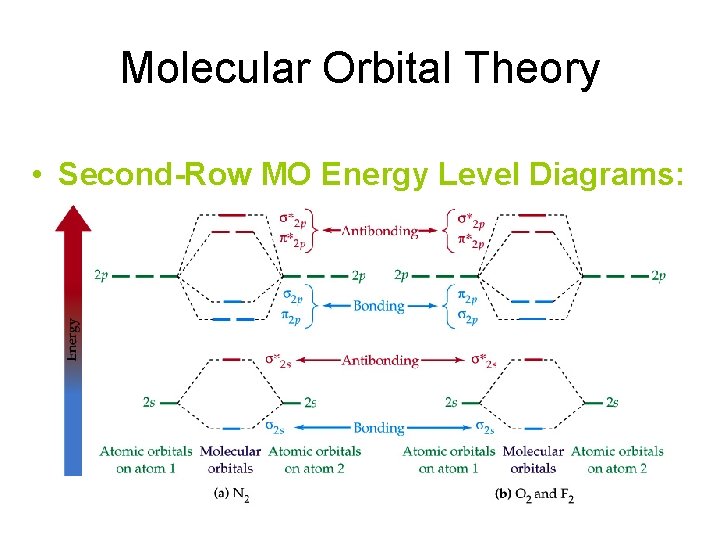 Molecular Orbital Theory • Second-Row MO Energy Level Diagrams: 