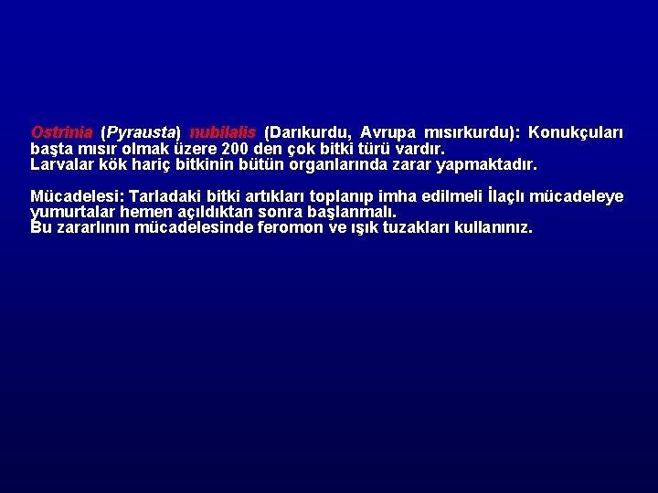 Ostrinia (Pyrausta) nubilalis (Darıkurdu, Avrupa mısırkurdu): Konukçuları başta mısır olmak üzere 200 den çok