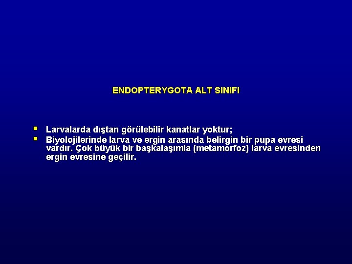 ENDOPTERYGOTA ALT SINIFI § § Larvalarda dıştan görülebilir kanatlar yoktur; Biyolojilerinde larva ve ergin