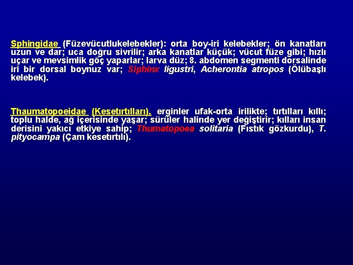 Sphingidae (Füzevücutlukelebekler): orta boy-iri kelebekler; ön kanatları uzun ve dar; uca doğru sivrilir; arka