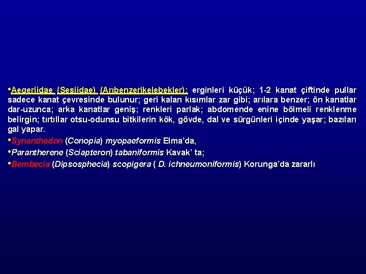  • Aegeriidae (Sesiidae) (Arıbenzerikelebekler): erginleri küçük; 1 -2 kanat çiftinde pullar sadece kanat