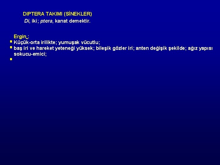 DIPTERA TAKIMI (SİNEKLER) Di, iki; ptera, kanat demektir. Ergin : § Küçük-orta irilikte; yumuşak