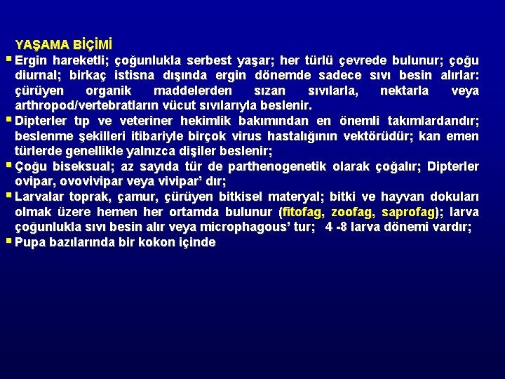 YAŞAMA BİÇİMİ § Ergin hareketli; çoğunlukla serbest yaşar; her türlü çevrede bulunur; çoğu diurnal;