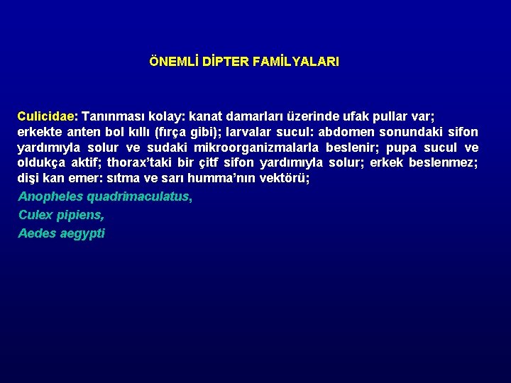 ÖNEMLİ DİPTER FAMİLYALARI Culicidae: Tanınması kolay: kanat damarları üzerinde ufak pullar var; erkekte anten