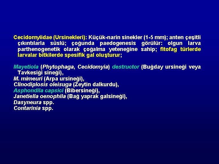 Cecidomyiidae (Ursinekleri): Küçük-narin sinekler (1 -5 mm); anten çeşitli çıkıntılarla süslü; çoğunda paedogenesis görülür: