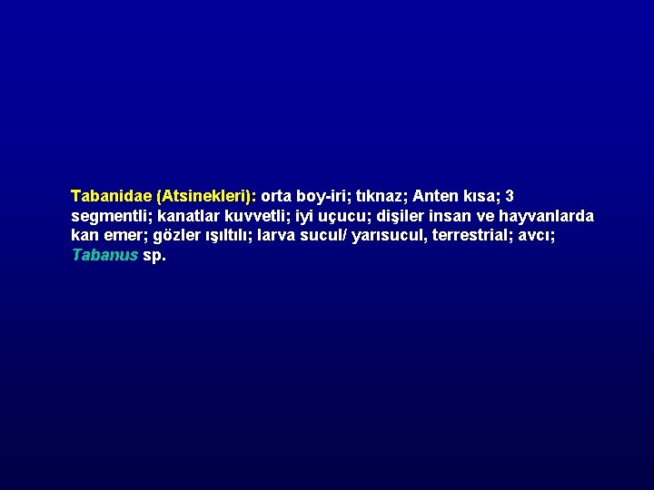 Tabanidae (Atsinekleri): orta boy-iri; tıknaz; Anten kısa; 3 segmentli; kanatlar kuvvetli; iyi uçucu; dişiler