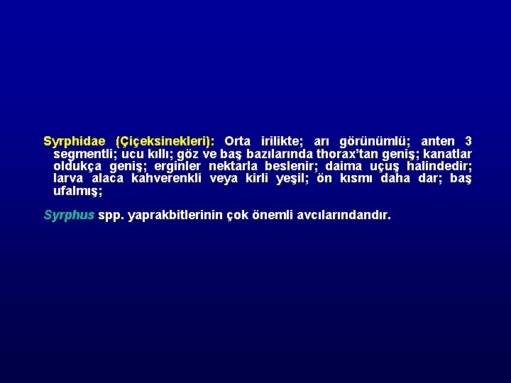 Syrphidae (Çiçeksinekleri): Orta irilikte; arı görünümlü; anten 3 segmentli; ucu kıllı; göz ve baş