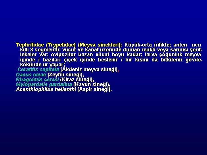 Tephritidae (Trypetidae) (Meyva sinekleri): Küçük-orta irilikte; anten ucu kıllı 3 segmentli; vücut ve kanat