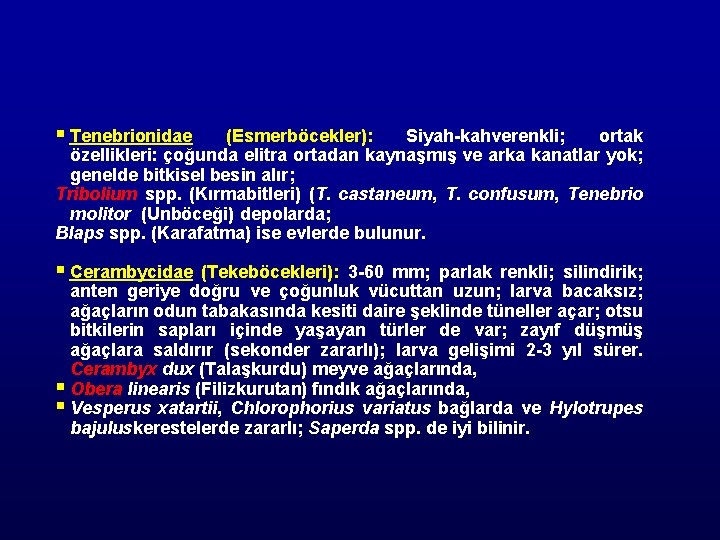 § Tenebrionidae (Esmerböcekler): Siyah-kahverenkli; ortak özellikleri: çoğunda elitra ortadan kaynaşmış ve arka kanatlar yok;