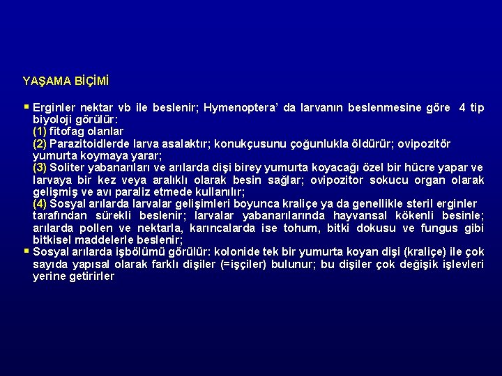 YAŞAMA BİÇİMİ § Erginler § nektar vb ile beslenir; Hymenoptera’ da larvanın beslenmesine göre