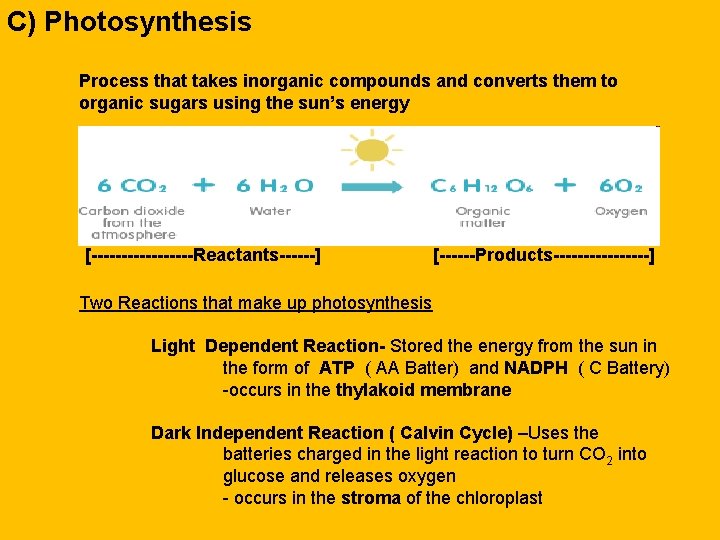 C) Photosynthesis Process that takes inorganic compounds and converts them to organic sugars using