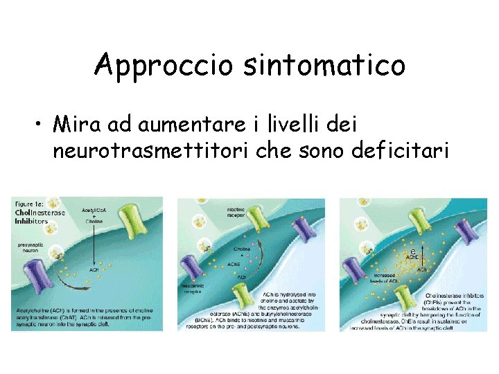 Approccio sintomatico • Mira ad aumentare i livelli dei neurotrasmettitori che sono deficitari 