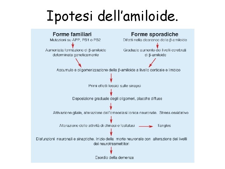 Ipotesi dell’amiloide. 