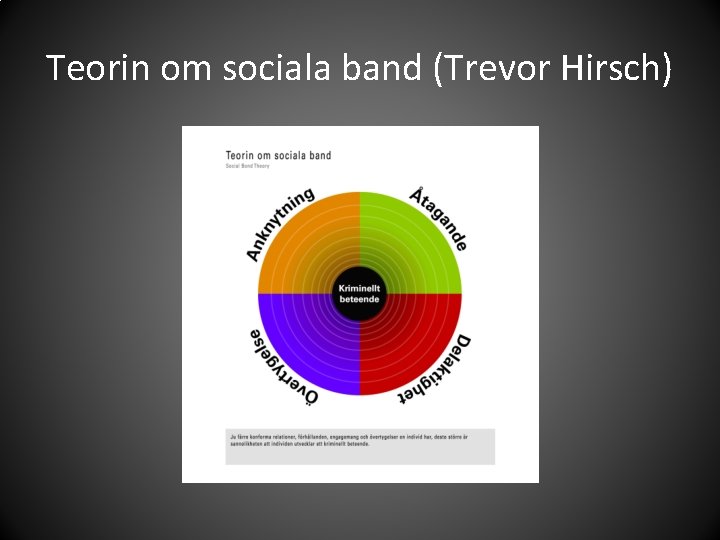 Teorin om sociala band (Trevor Hirsch) 