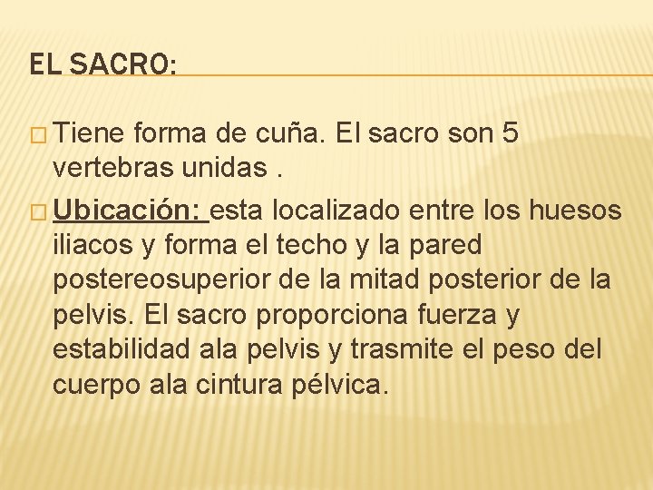 EL SACRO: � Tiene forma de cuña. El sacro son 5 vertebras unidas. �