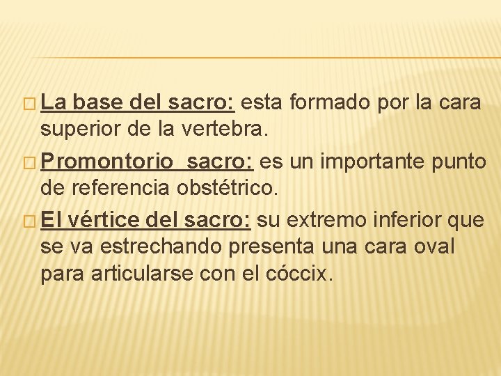 � La base del sacro: esta formado por la cara superior de la vertebra.