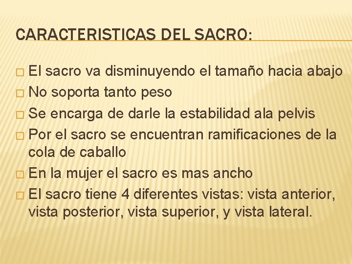 CARACTERISTICAS DEL SACRO: � El sacro va disminuyendo el tamaño hacia abajo � No