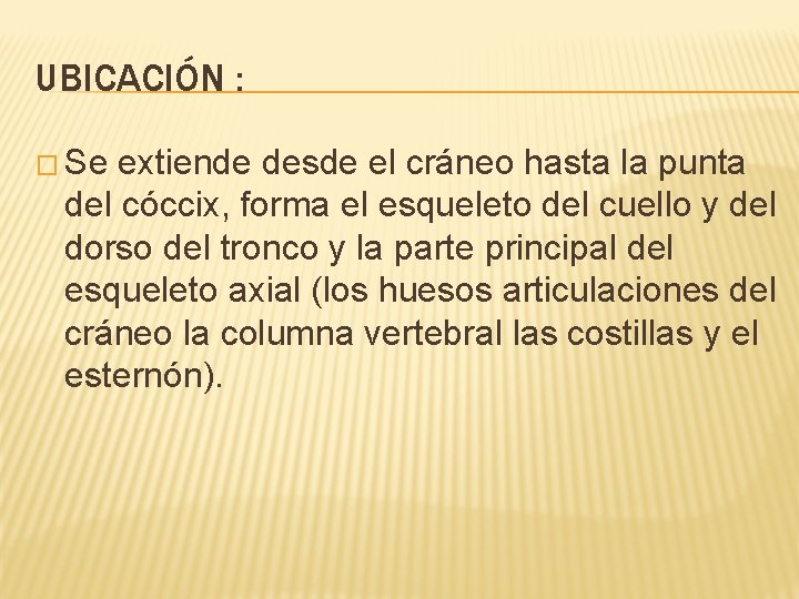 UBICACIÓN : � Se extiende desde el cráneo hasta la punta del cóccix, forma