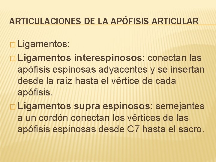 ARTICULACIONES DE LA APÓFISIS ARTICULAR � Ligamentos: � Ligamentos interespinosos: conectan las apófisis espinosas