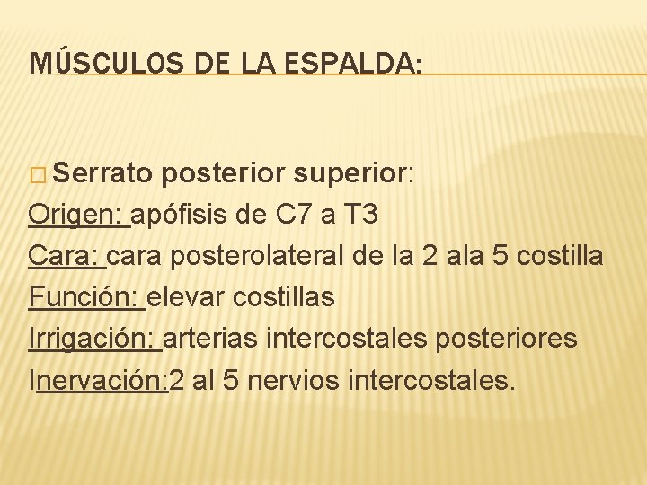 MÚSCULOS DE LA ESPALDA: � Serrato posterior superior: Origen: apófisis de C 7 a