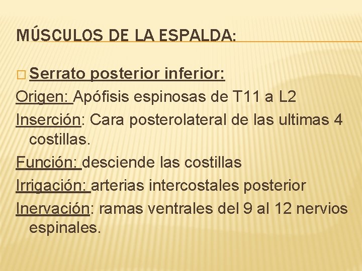 MÚSCULOS DE LA ESPALDA: � Serrato posterior inferior: Origen: Apófisis espinosas de T 11