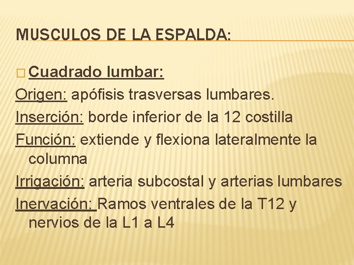 MUSCULOS DE LA ESPALDA: � Cuadrado lumbar: Origen: apófisis trasversas lumbares. Inserción: borde inferior