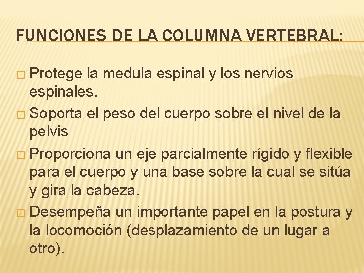 FUNCIONES DE LA COLUMNA VERTEBRAL: � Protege la medula espinal y los nervios espinales.