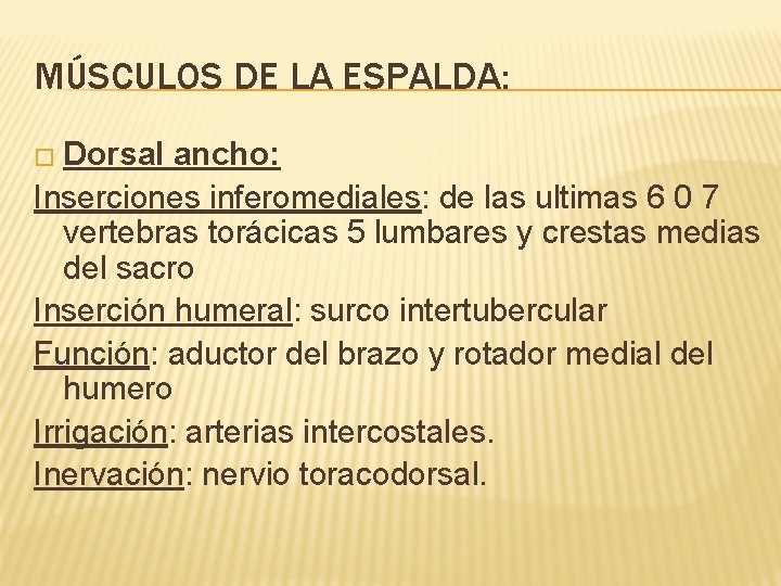 MÚSCULOS DE LA ESPALDA: � Dorsal ancho: Inserciones inferomediales: de las ultimas 6 0