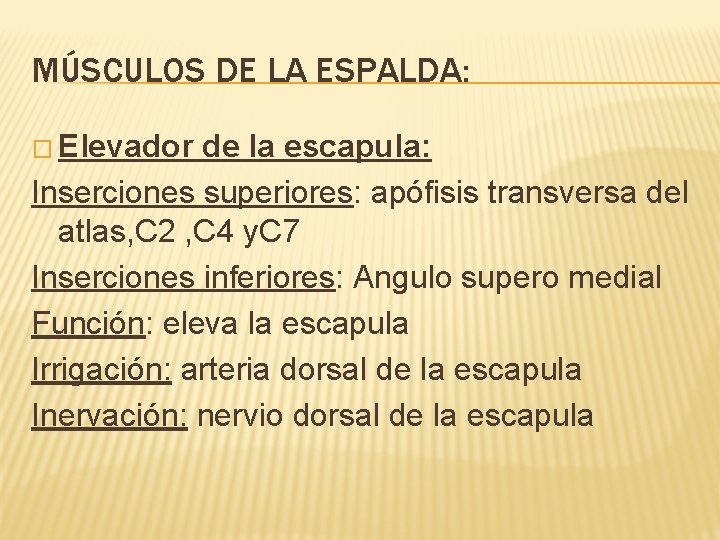 MÚSCULOS DE LA ESPALDA: � Elevador de la escapula: Inserciones superiores: apófisis transversa del