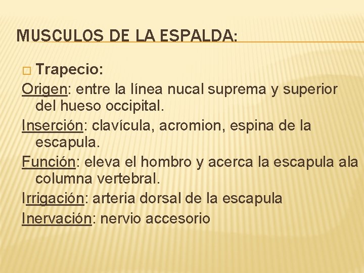 MUSCULOS DE LA ESPALDA: � Trapecio: Origen: entre la línea nucal suprema y superior