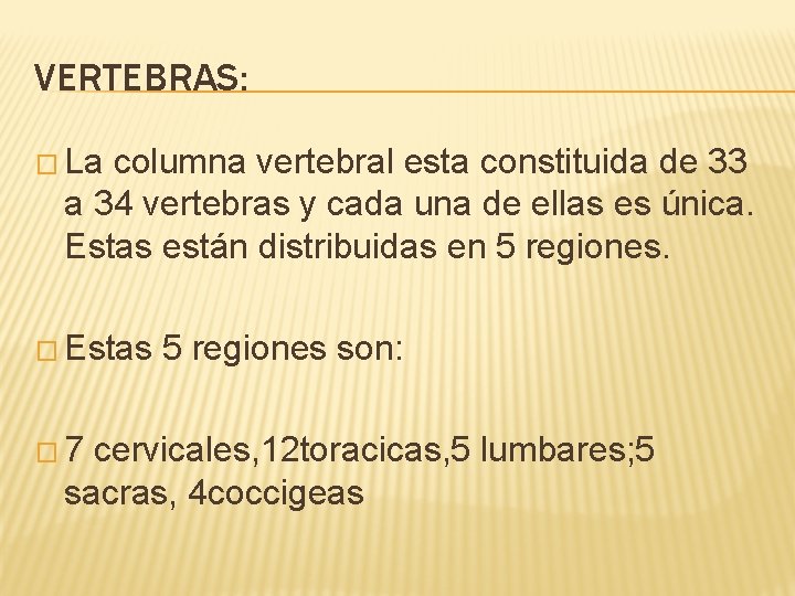 VERTEBRAS: � La columna vertebral esta constituida de 33 a 34 vertebras y cada