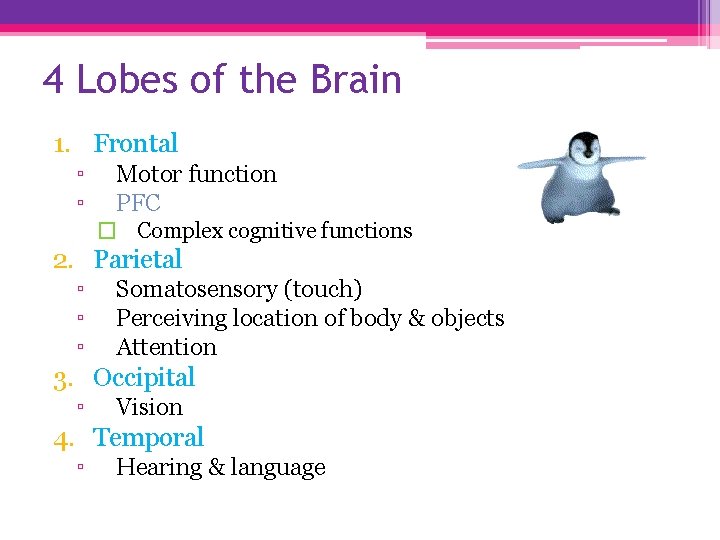 4 Lobes of the Brain 1. Frontal ▫ ▫ Motor function PFC � Complex