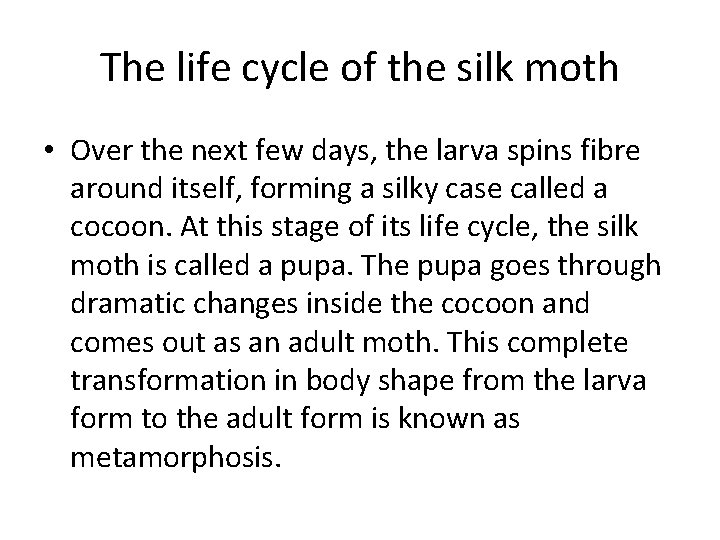 The life cycle of the silk moth • Over the next few days, the