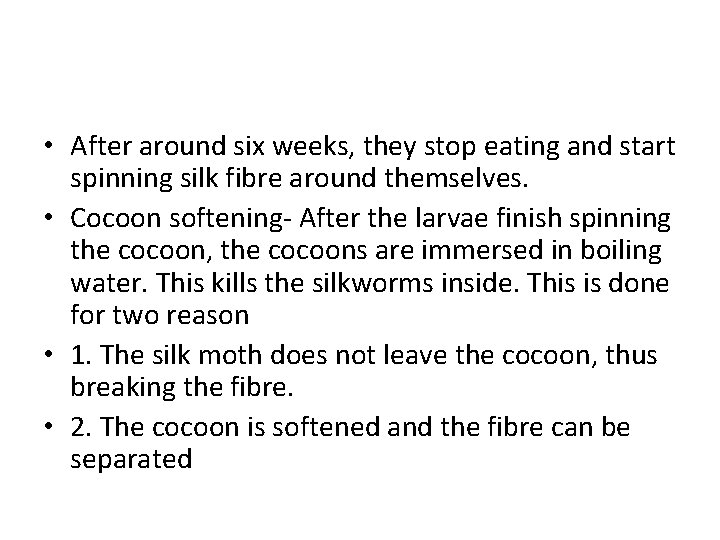  • After around six weeks, they stop eating and start spinning silk fibre