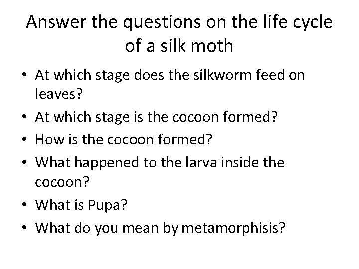 Answer the questions on the life cycle of a silk moth • At which