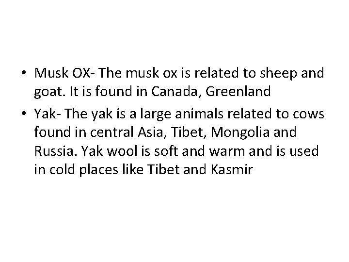  • Musk OX- The musk ox is related to sheep and goat. It