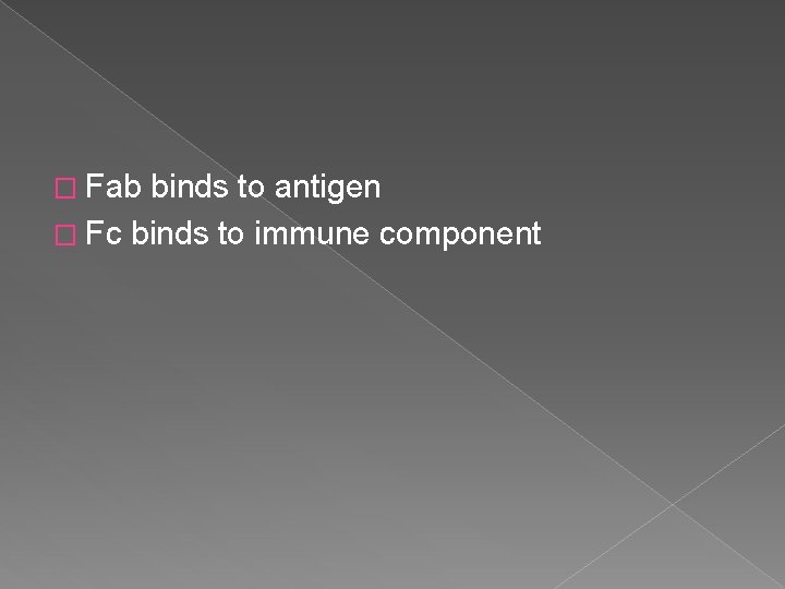 � Fab binds to antigen � Fc binds to immune component 