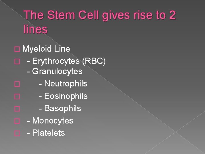 The Stem Cell gives rise to 2 lines � Myeloid � � � Line