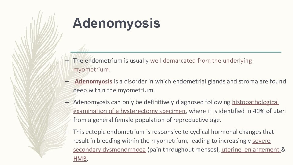Adenomyosis – The endometrium is usually well demarcated from the underlying myometrium. – Adenomyosis