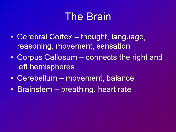 The Brain • Cerebral Cortex – thought, language, reasoning, movement, sensation • Corpus Callosum