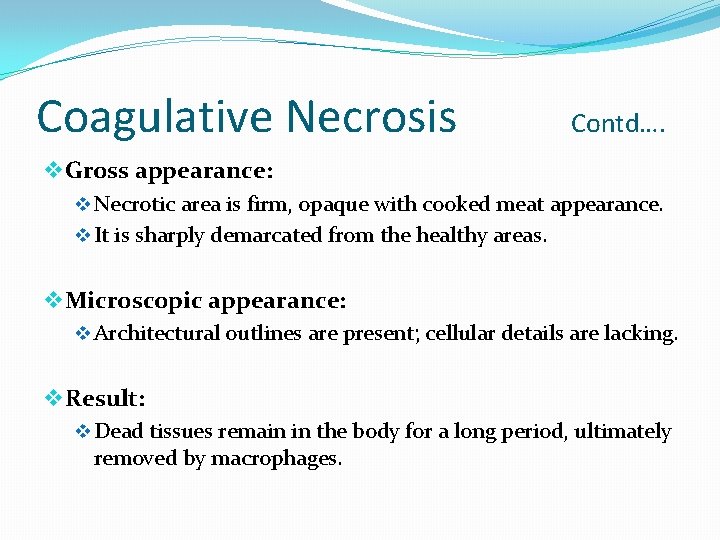 Coagulative Necrosis Contd…. v Gross appearance: v Necrotic area is firm, opaque with cooked