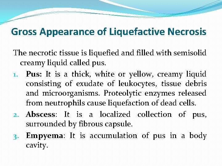 Gross Appearance of Liquefactive Necrosis The necrotic tissue is liquefied and filled with semisolid