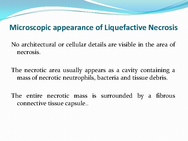 Microscopic appearance of Liquefactive Necrosis No architectural or cellular details are visible in the