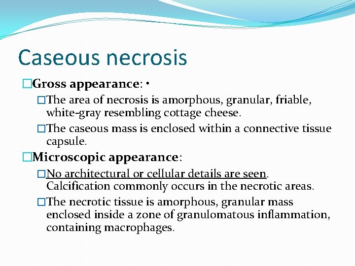 Caseous necrosis �Gross appearance: • �The area of necrosis is amorphous, granular, friable, white-gray