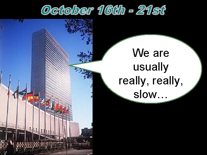 We are usually really, slow…  We are usually really, slow…