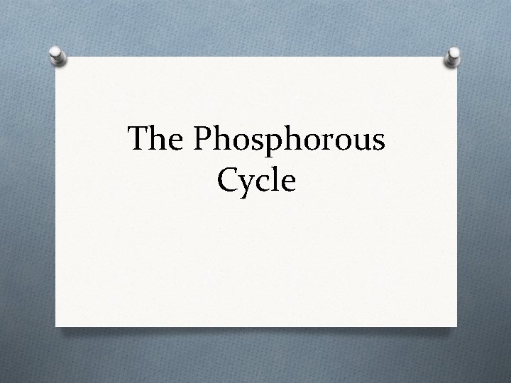 The Phosphorous Cycle 