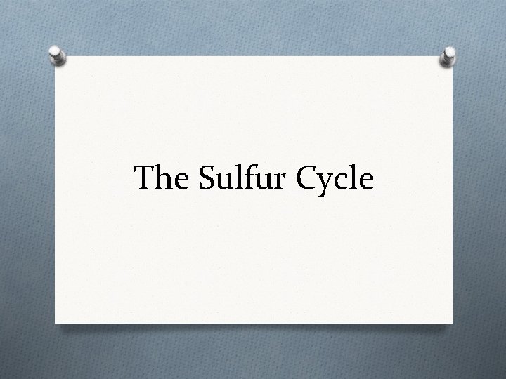 The Sulfur Cycle 