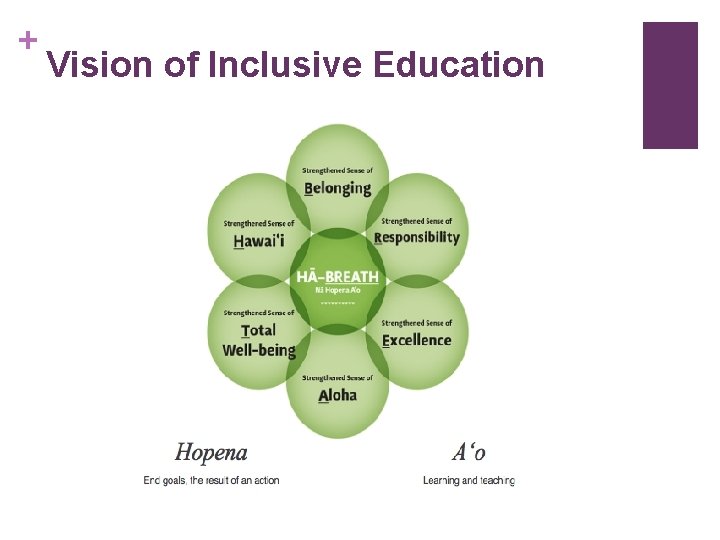 + Vision of Inclusive Education 